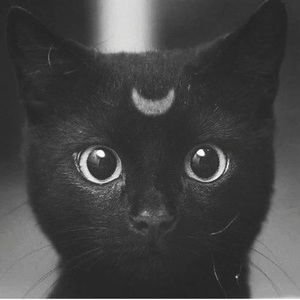 Meet your Posher, Vicky